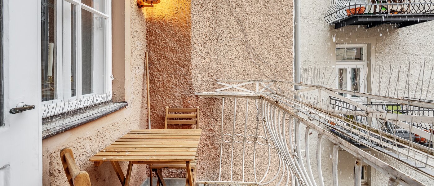 apartment München Maxvorstadt - Universitätsviertel 01 balcony 12491