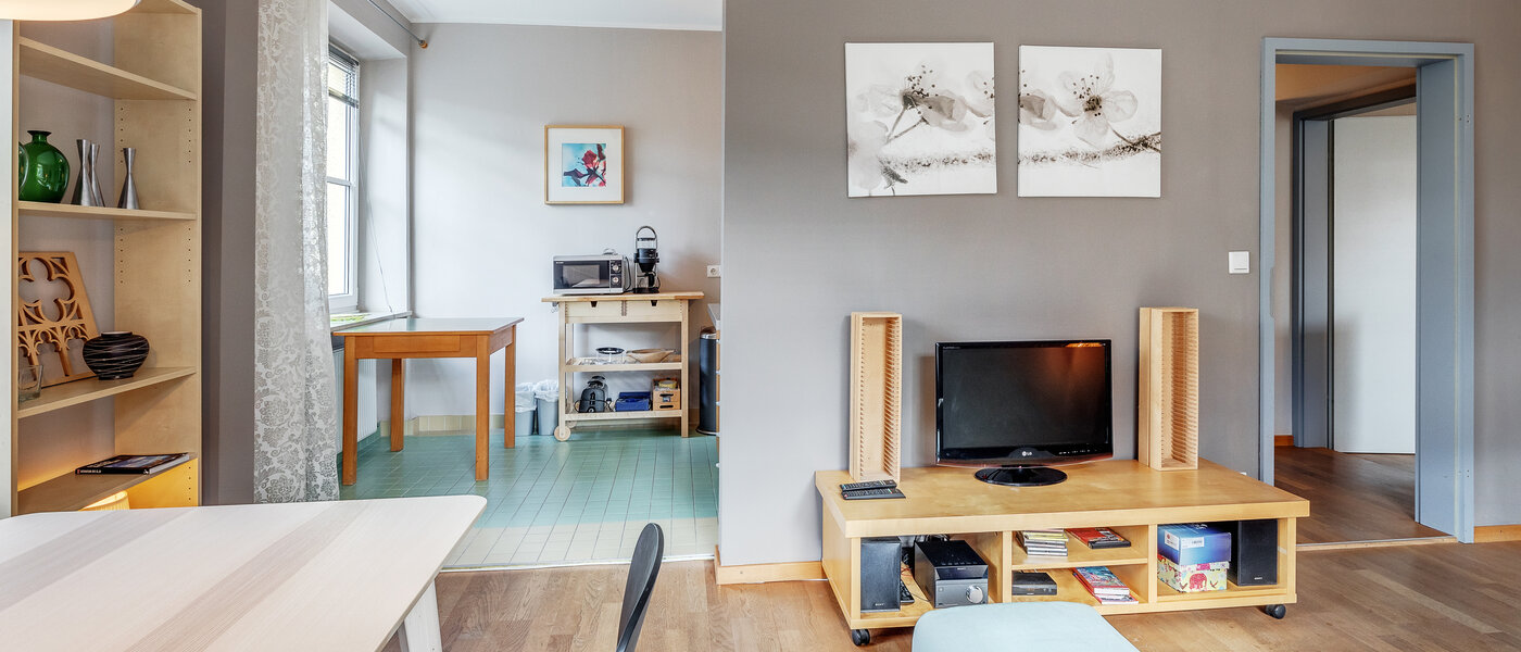 apartment München Untergiesing 03 living area 1250