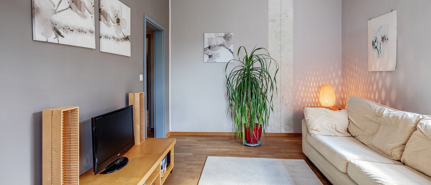 apartment München Untergiesing 04 living area 1250