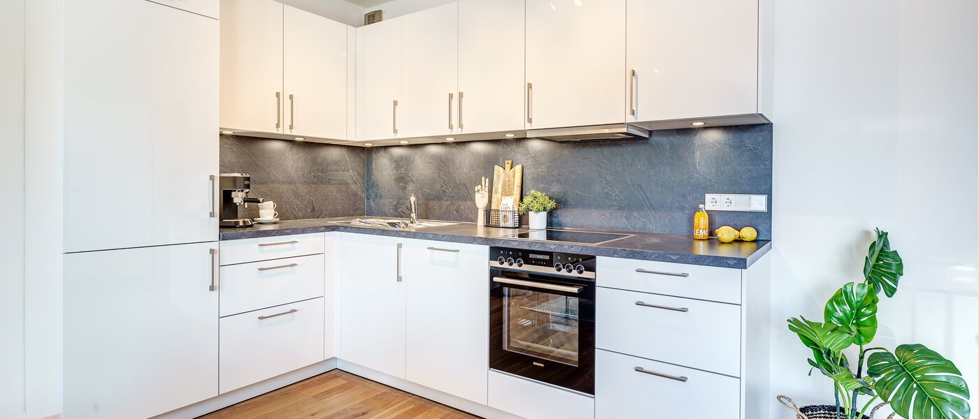 apartment München Au 01 kitchen 12517
