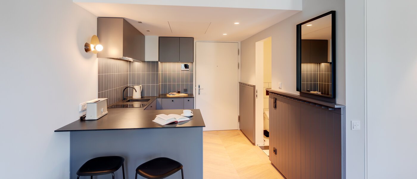 apartment München Herzogpark 02 living area 12523