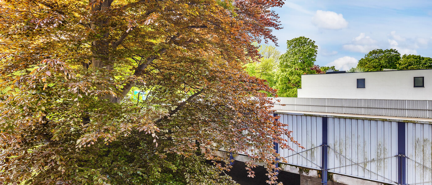 apartment München Herzogpark 01 view 12567