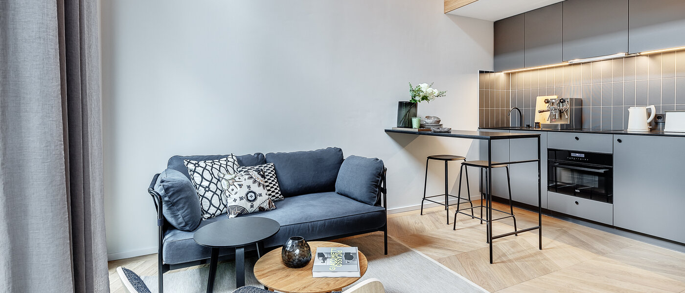 maisonette-gallery apartment München Herzogpark 03 living area 12611