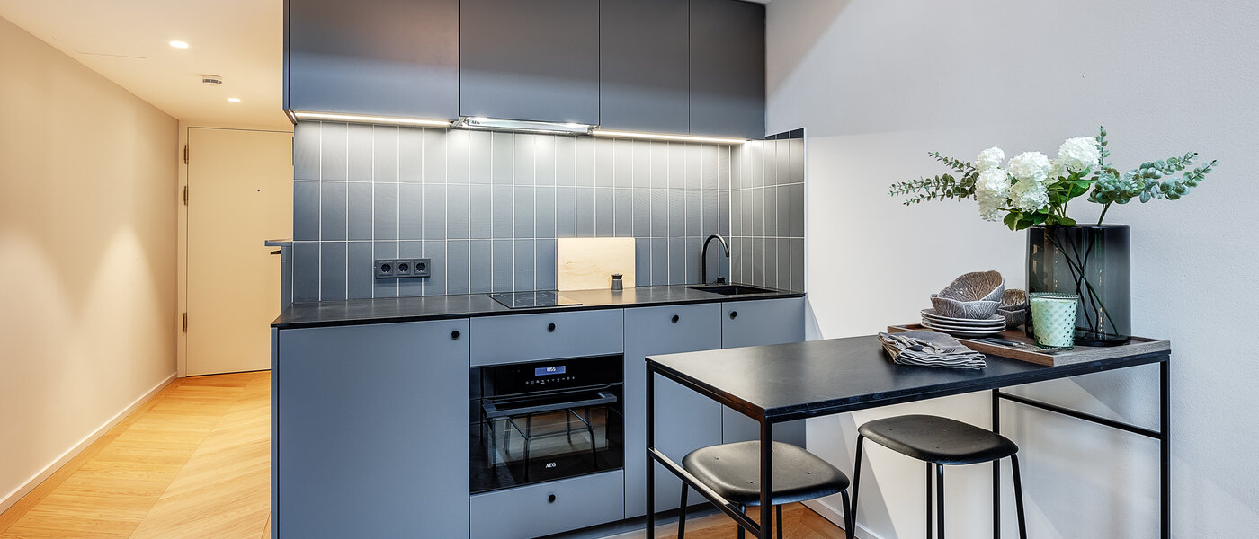 maisonette-gallery apartment München Herzogpark 01 kitchen 12618