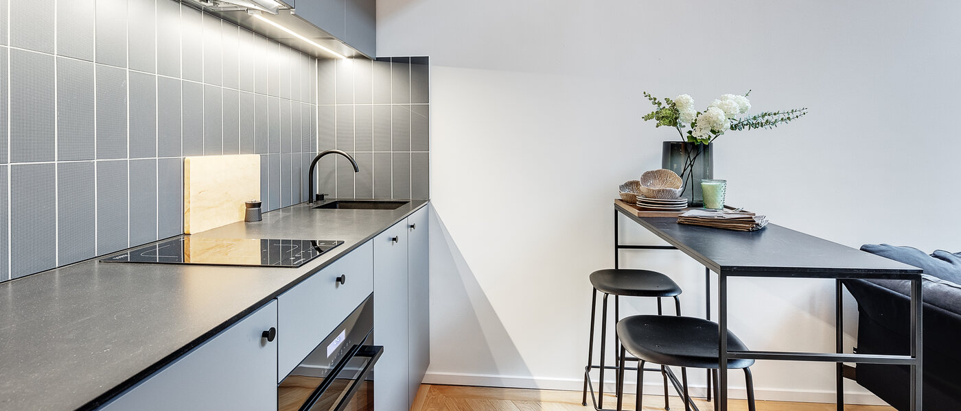 maisonette-gallery apartment München Herzogpark 02 kitchen 12618