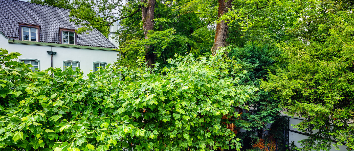 apartment München Herzogpark 01 view 12619