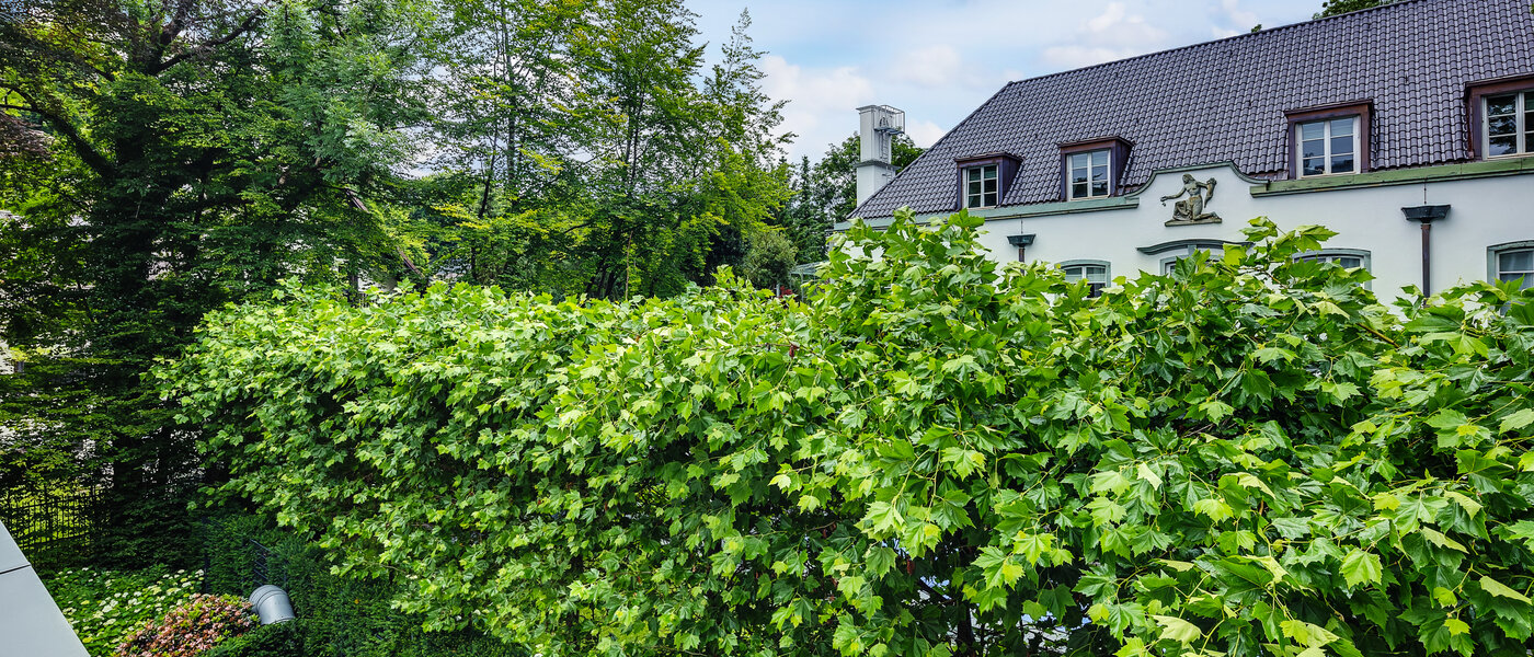 apartment München Herzogpark 02 view 12619