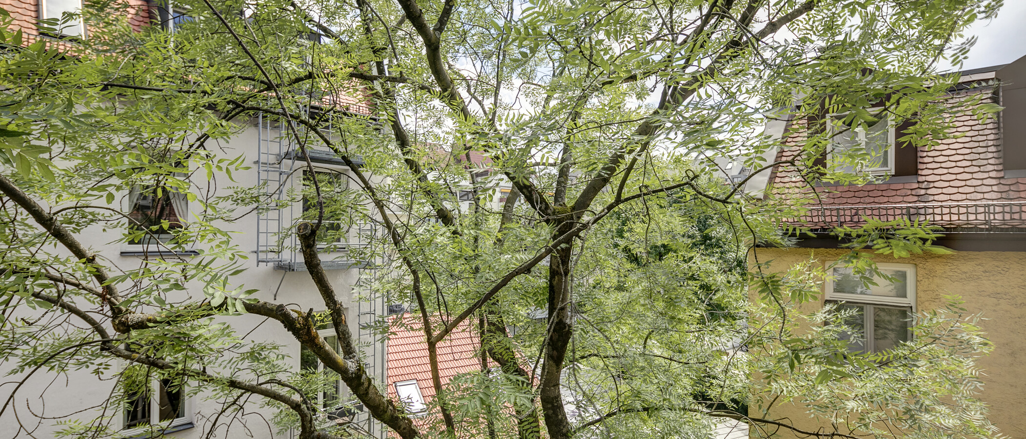 apartment München Schwabing (links der Leopoldstraße) 01 view 1262