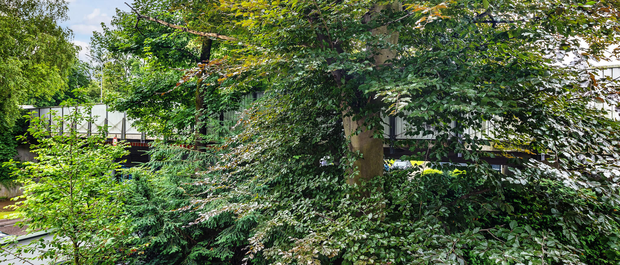 apartment München Herzogpark 04 view 12628