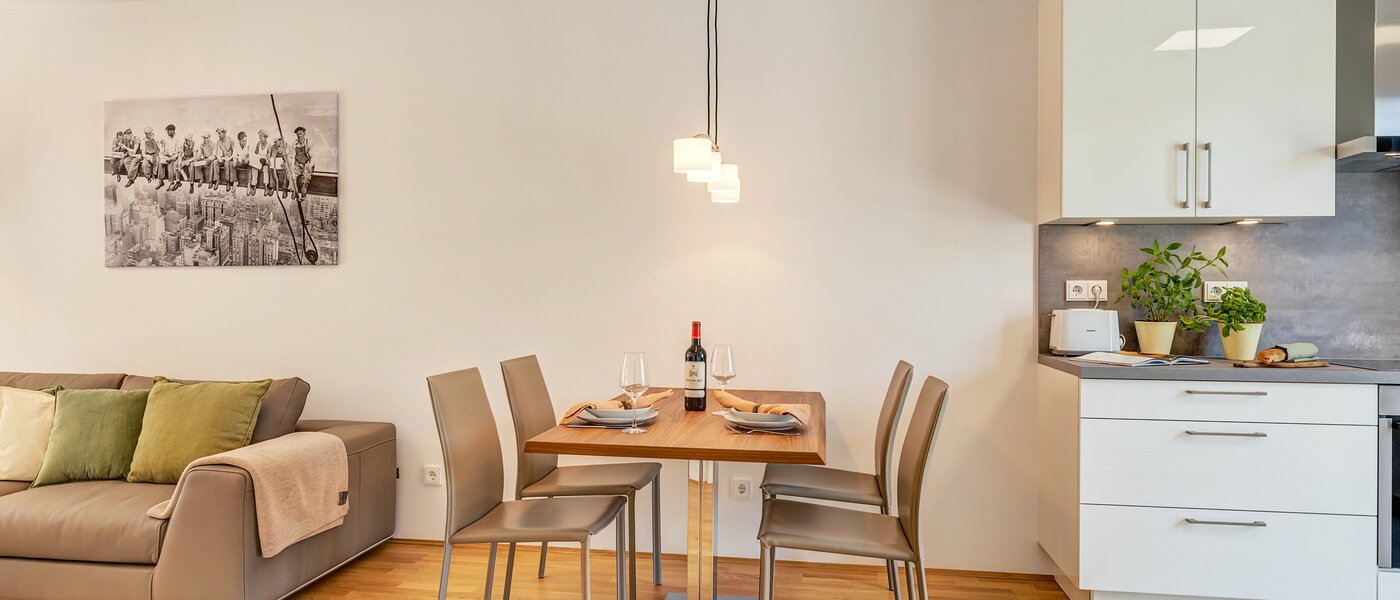 apartment München Pasing 05 living area 12629