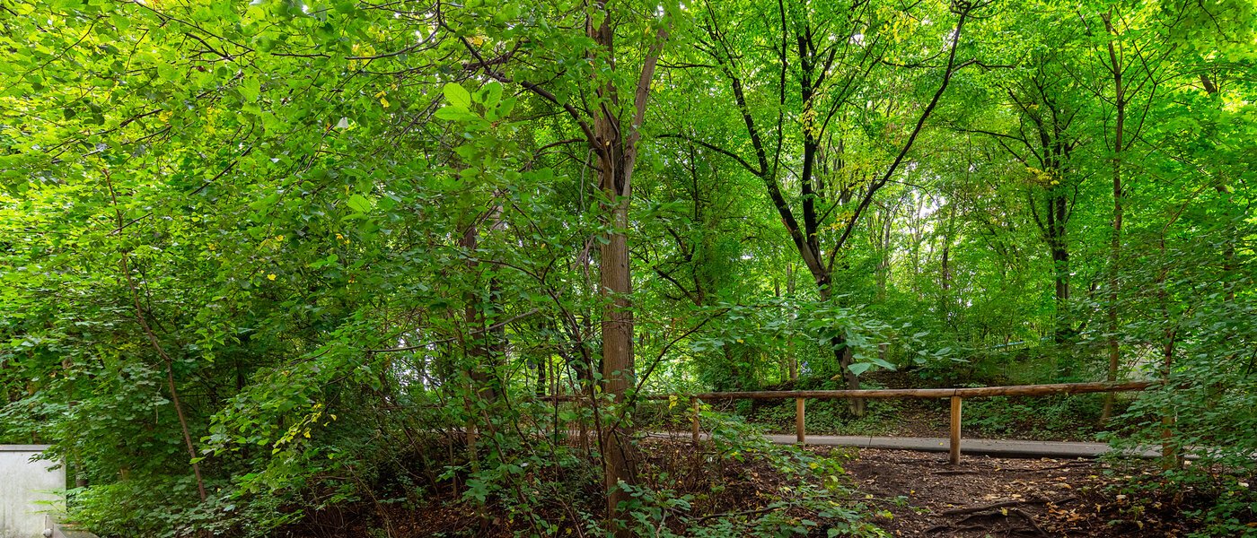 apartment München Thalkirchen 02 view 12695