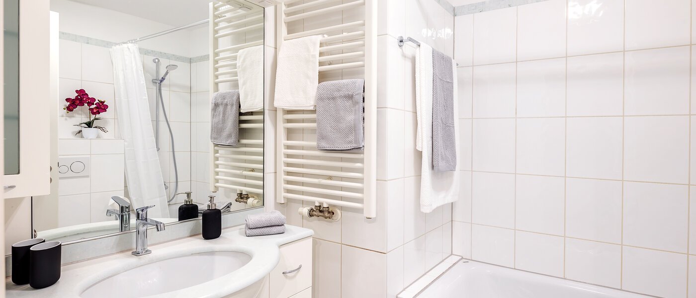 apartment München Maxvorstadt - Westen 01 bathroom 12753