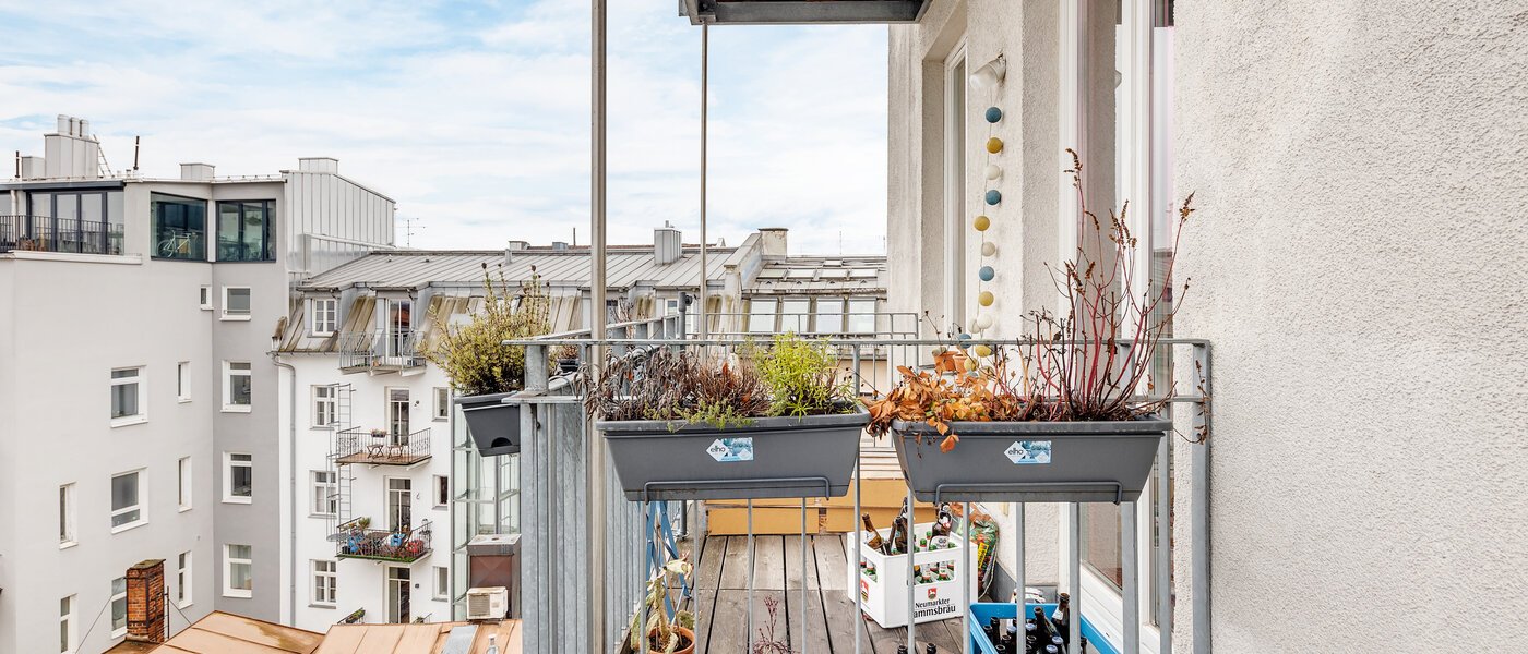 apartment München Maxvorstadt - Westen 03 view 12753