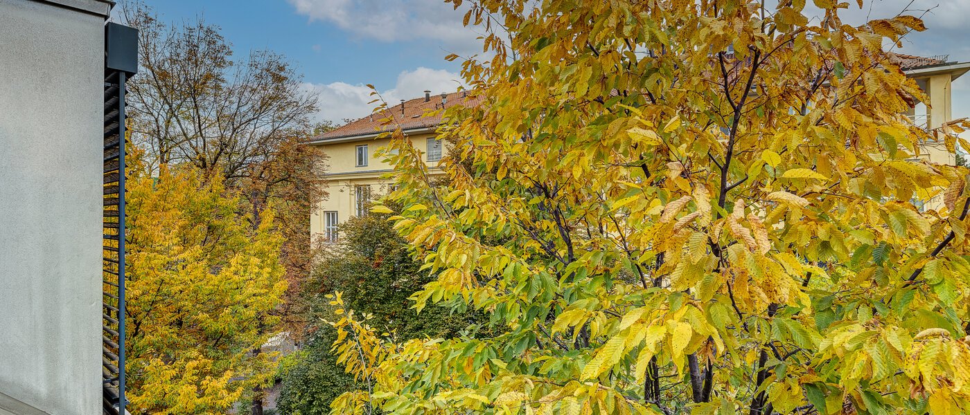 attic apartment München Ludwigsvorstadt 02 view 12778