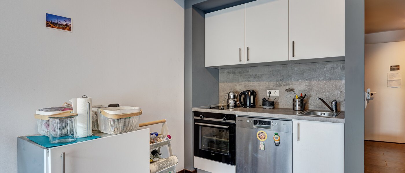 attic apartment München Ludwigsvorstadt 03 living area 12778