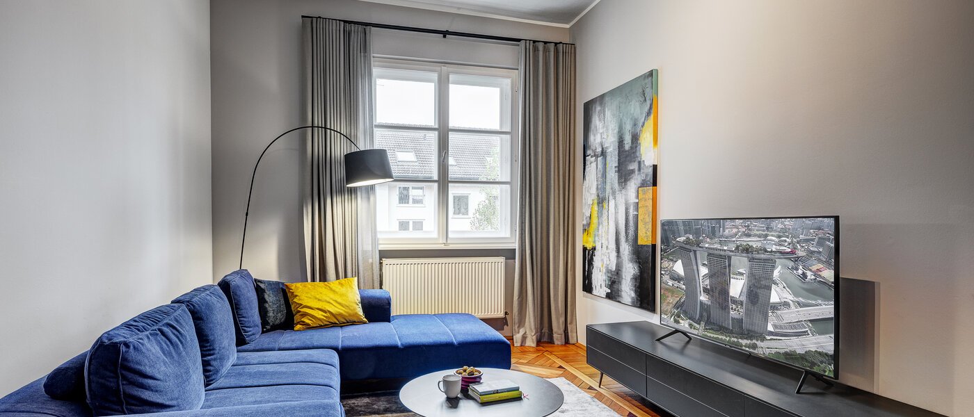 apartment München Haidhausen 01 living area 12796