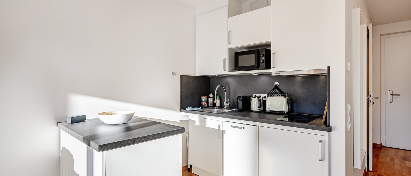 apartment Traunstein 01 kitchen 12841