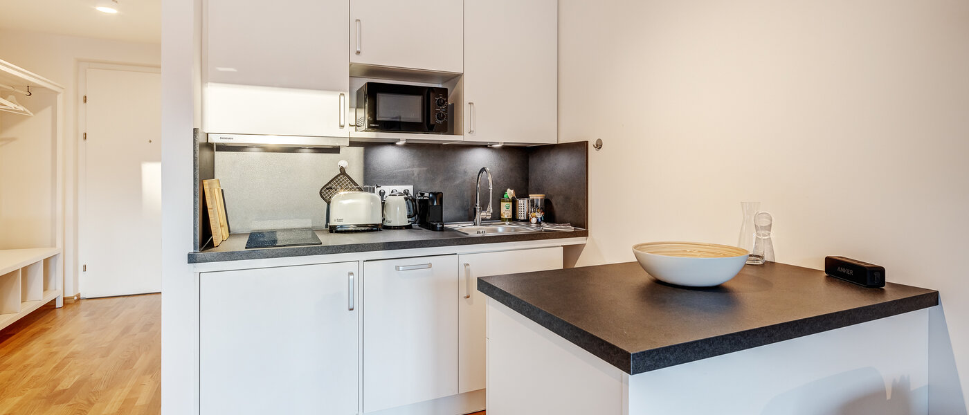 apartment Traunstein 01 kitchen 12847