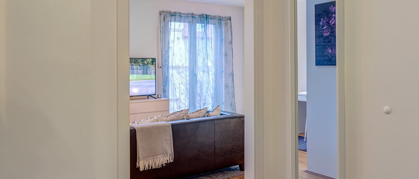 apartment München Haidhausen 03 hall 12848