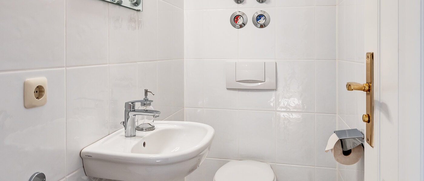 apartment Gmund am Tegernsee 02 guest toilet 12939