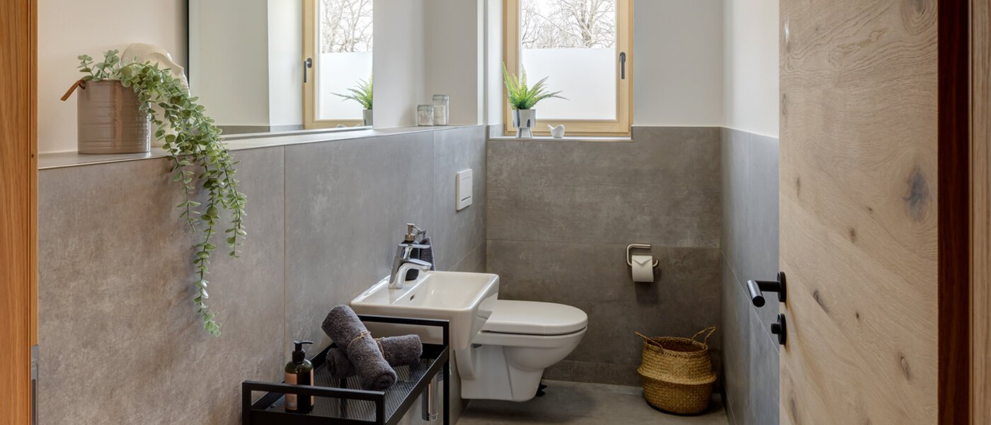 apartment Gmund am Tegernsee 01 guest toilet 12955