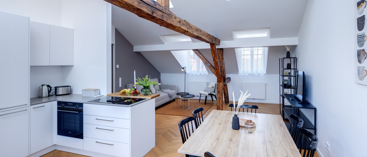 attic apartment München Isarvorstadt 02 living area 12963