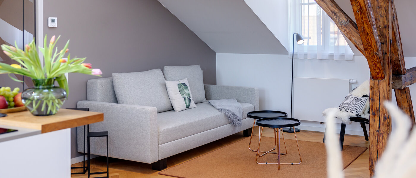 attic apartment München Isarvorstadt 04 living area 12963