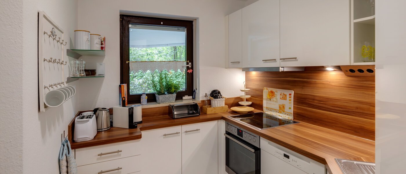 apartment München Solln 02 kitchen 12995