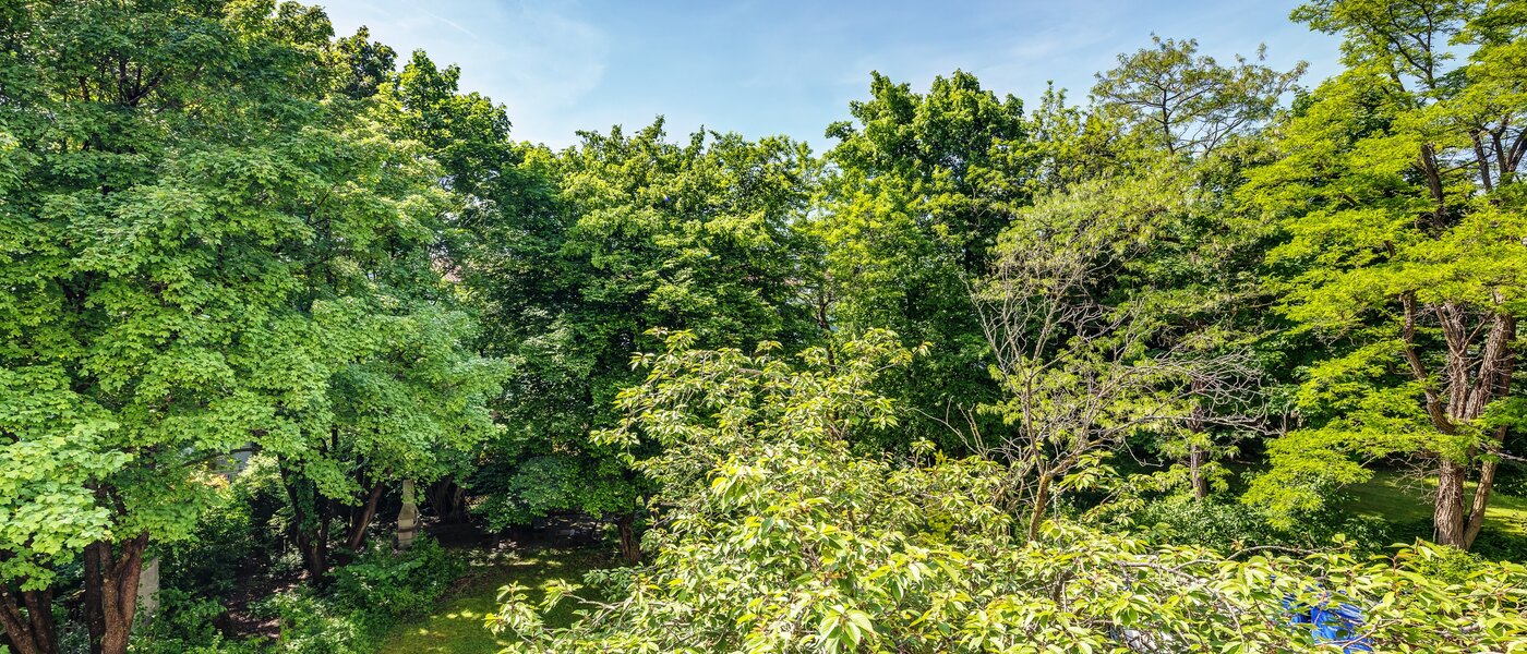 apartment München Parkstadt Schwabing 02 view 13011