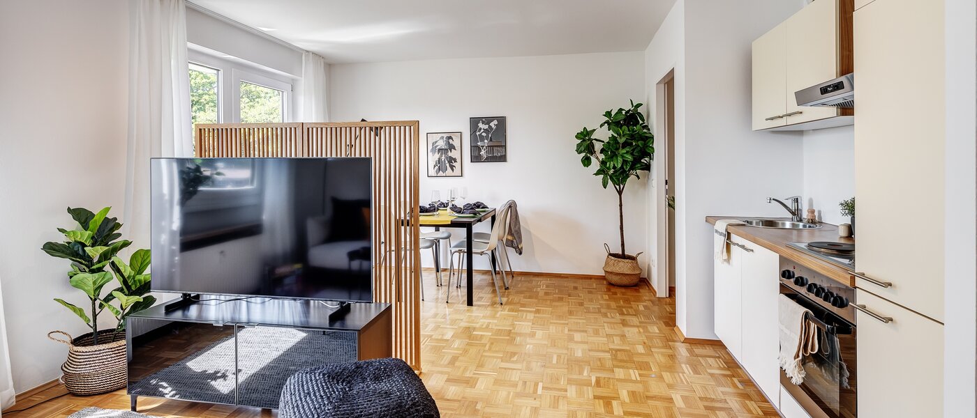 apartment München Parkstadt Schwabing 01 living area 13011