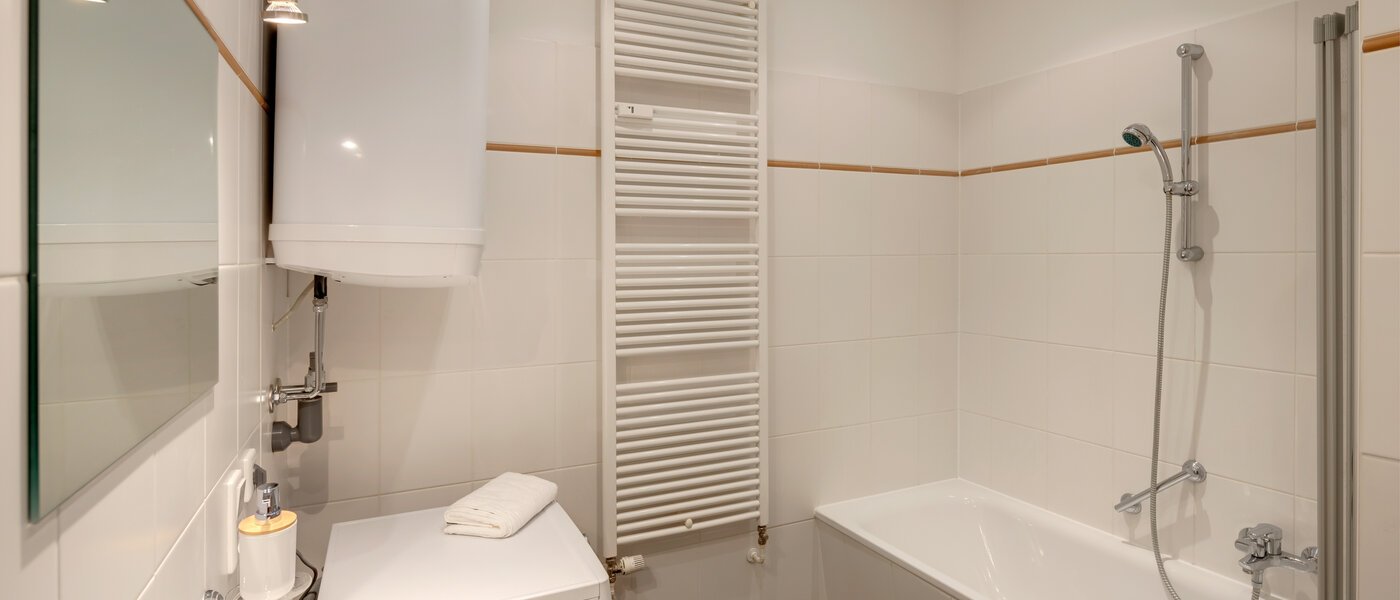 apartment München Haidhausen 02 bathroom 13029