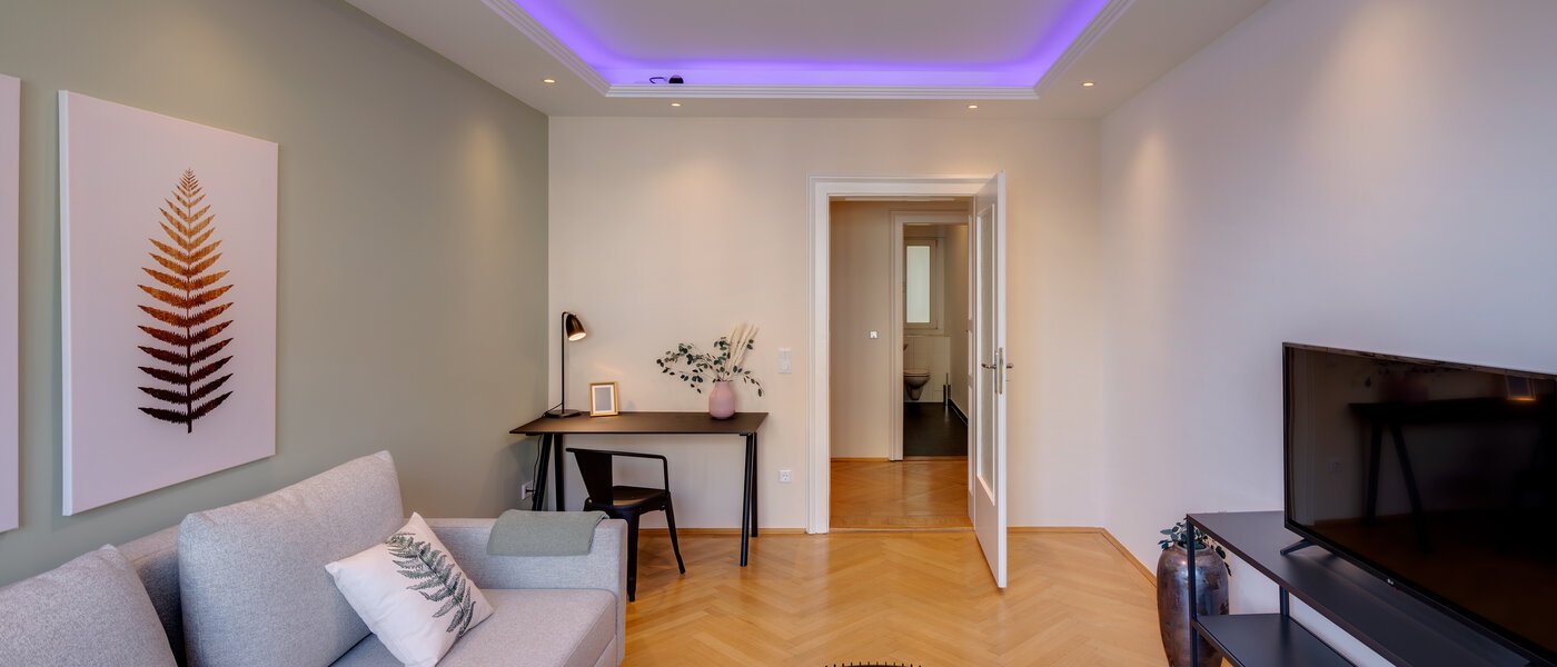 apartment München Haidhausen 03 living room 13029