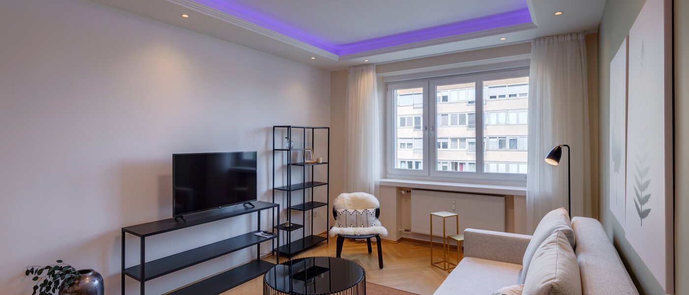 apartment München Haidhausen 05 living room 13029