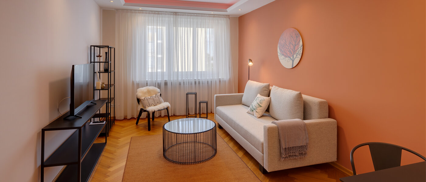 apartment München Haidhausen 01 living room 13030