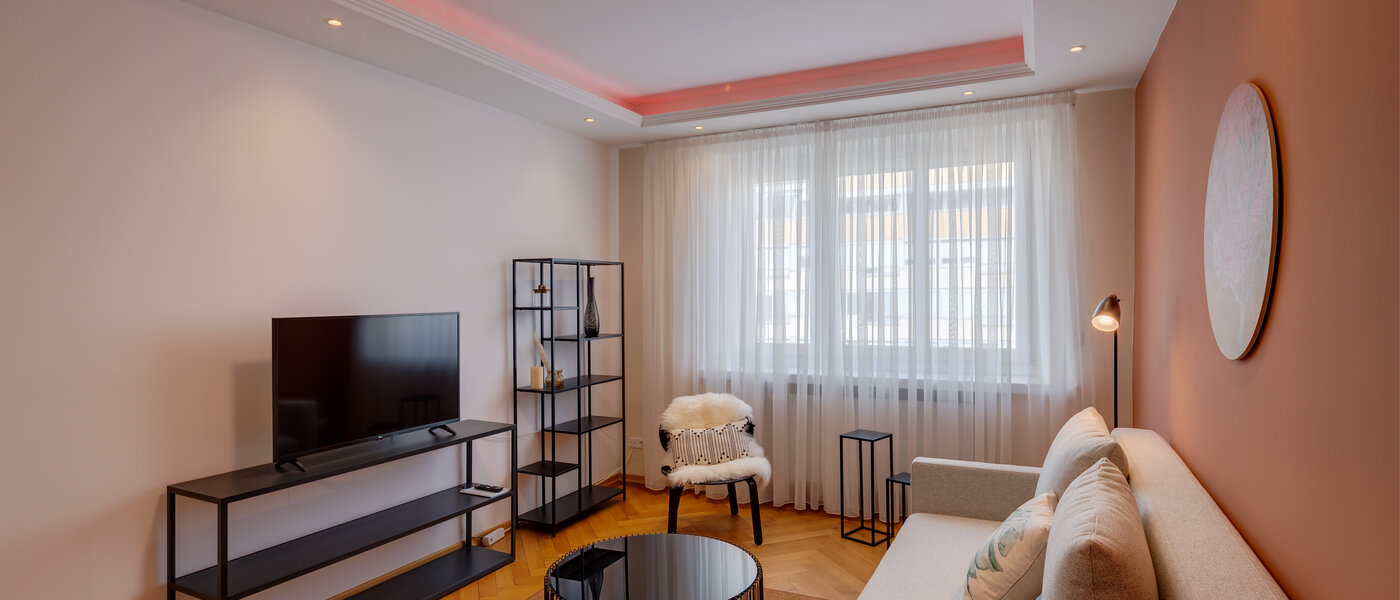 apartment München Haidhausen 05 living room 13030
