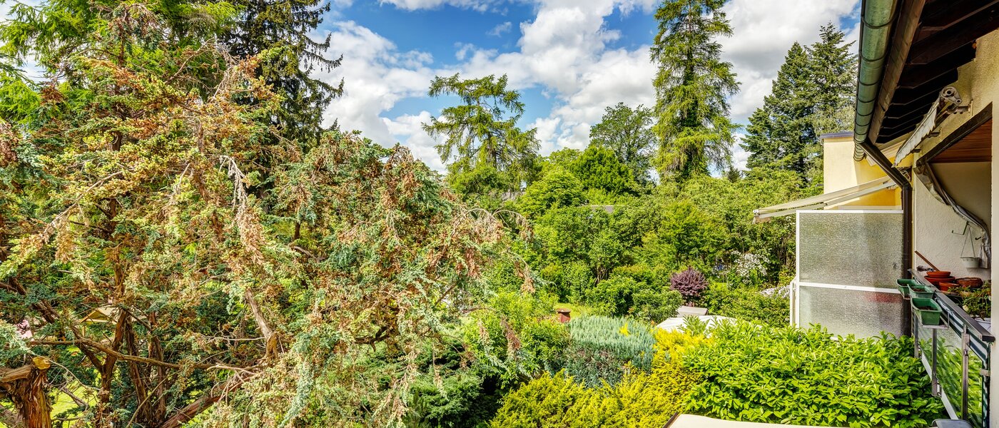 apartment München Berg am Laim 03 view 13039