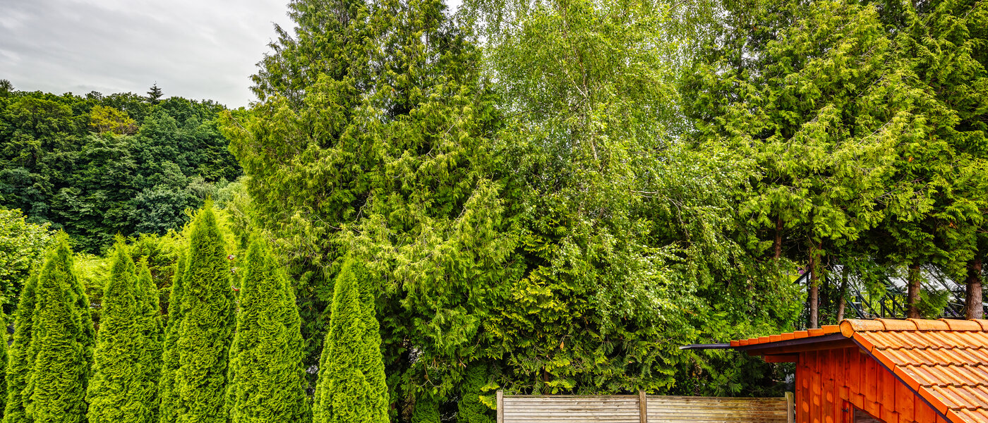 apartment Kottgeisering 04 view 13040