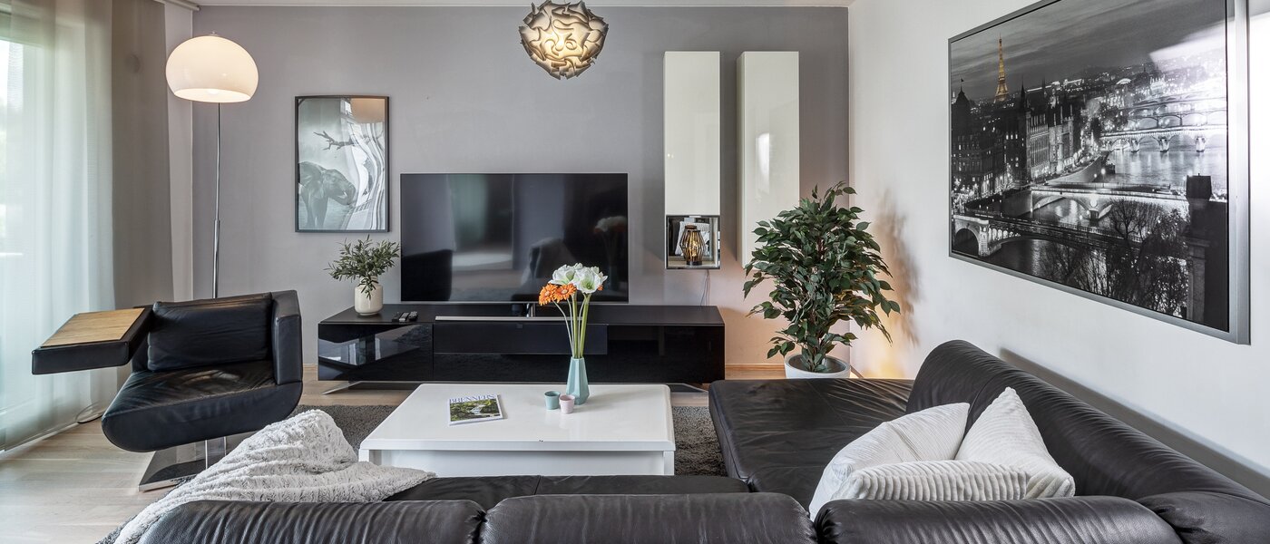 apartment Haar 03 living area 13044