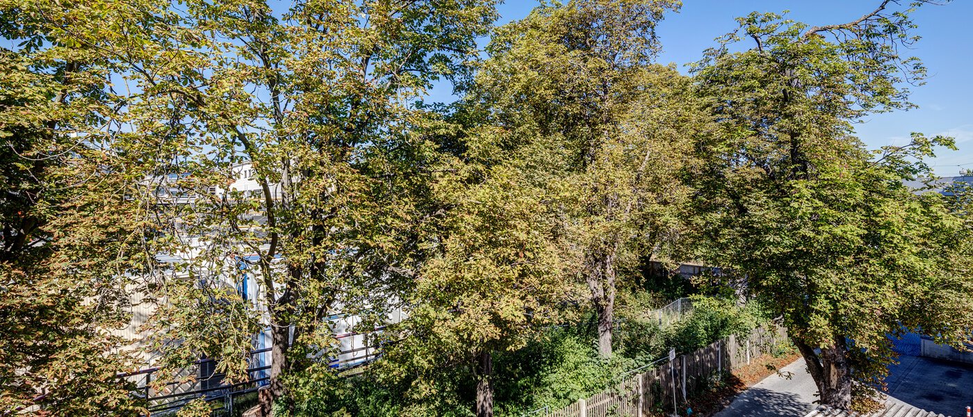 apartment München Obersendling 01 view 13112