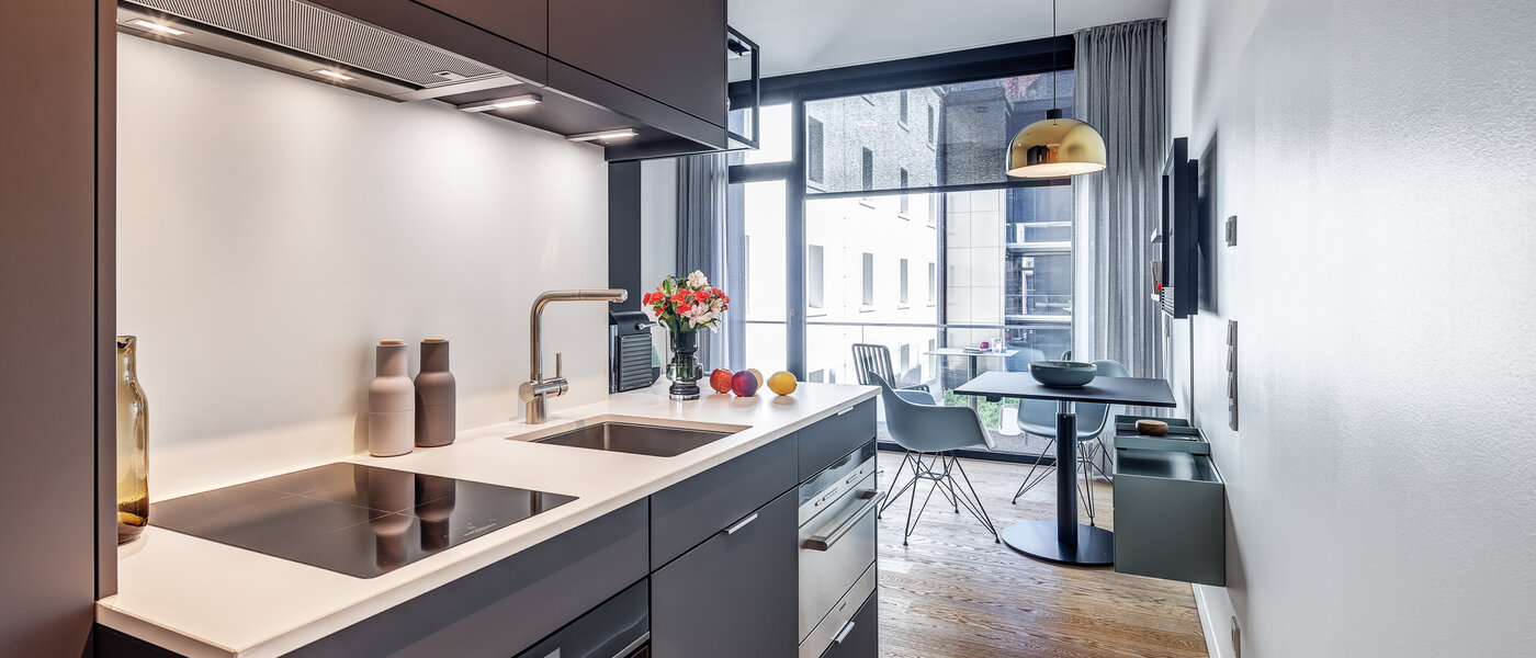 apartment München Au 03 kitchen 13114
