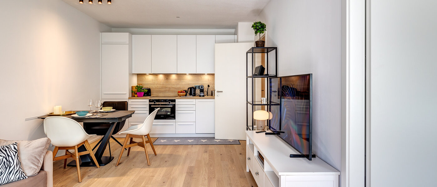 apartment München Pasing 04 living area 13124