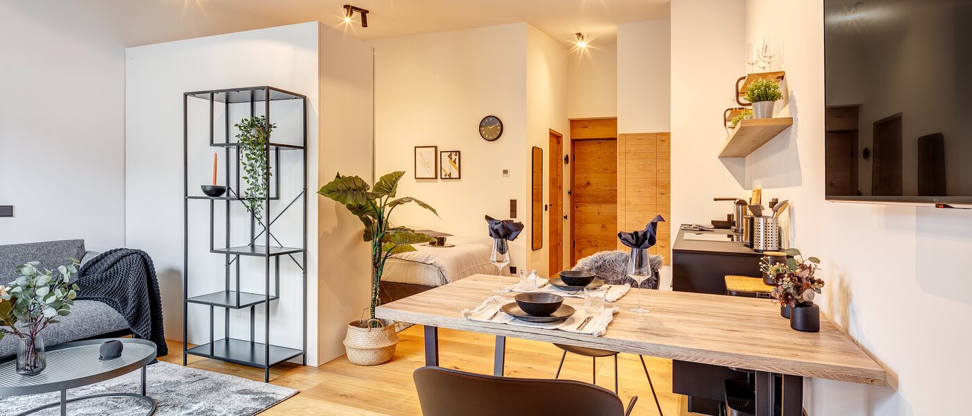 apartment München Schwanthalerhöhe 01 living area 13143