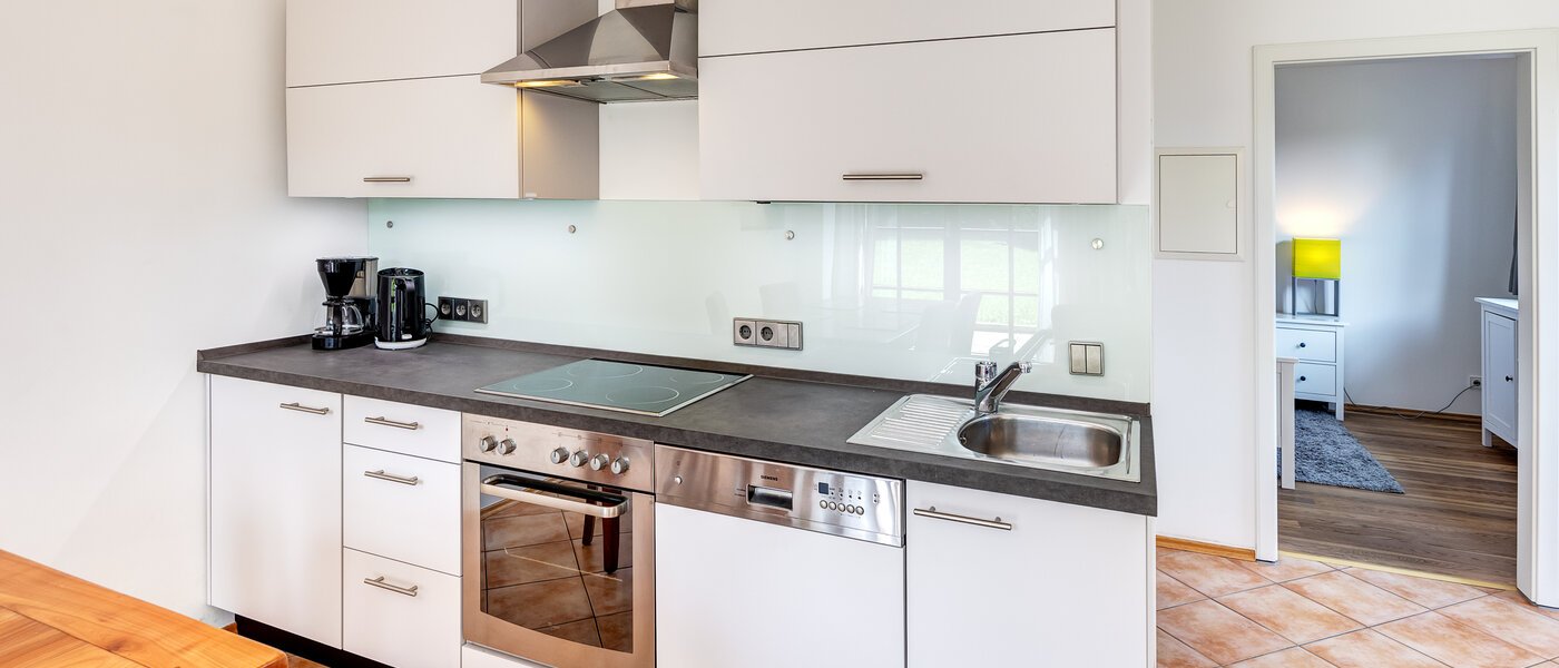 apartment Gmund am Tegernsee 01 kitchen 13158