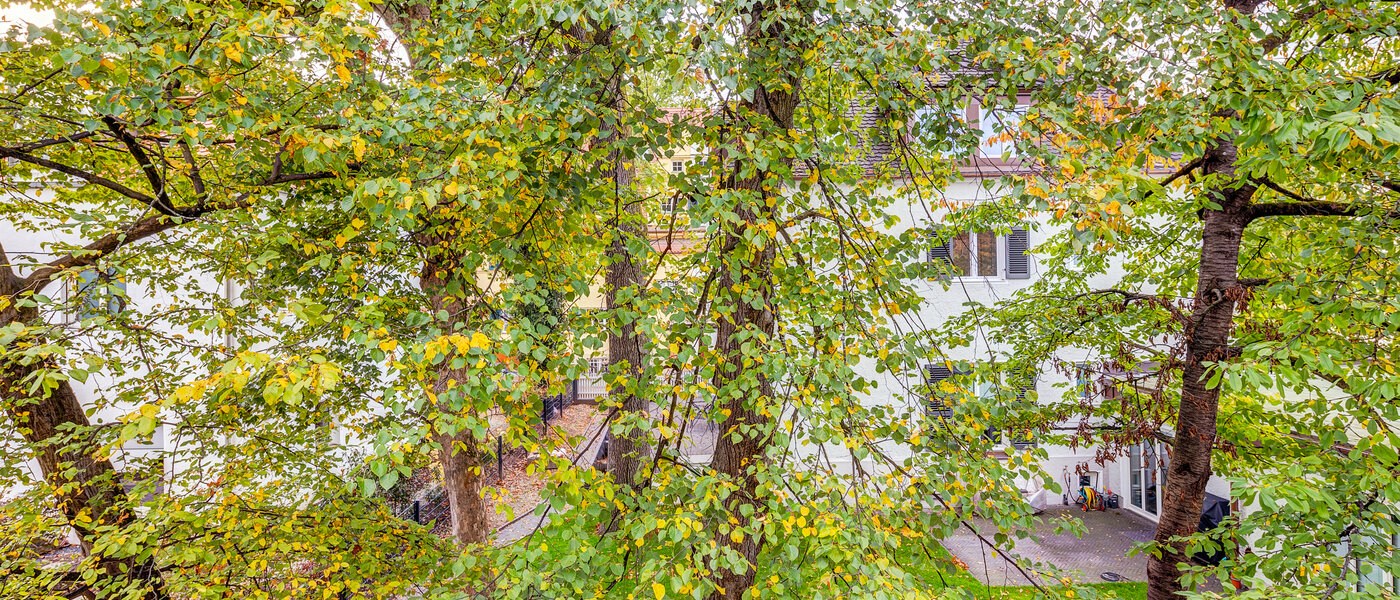 apartment München Laim 02 view 13186