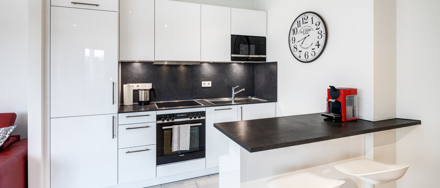 apartment München Au 01 kitchen 13189