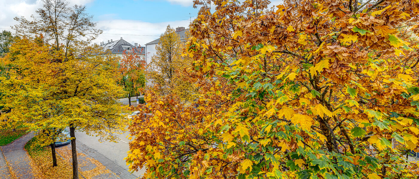 apartment München Thalkirchen 01 view 13192