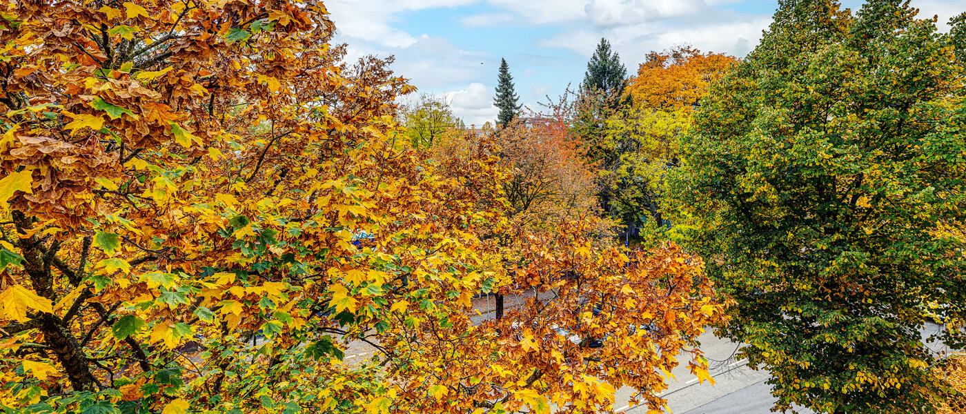 apartment München Thalkirchen 04 view 13192