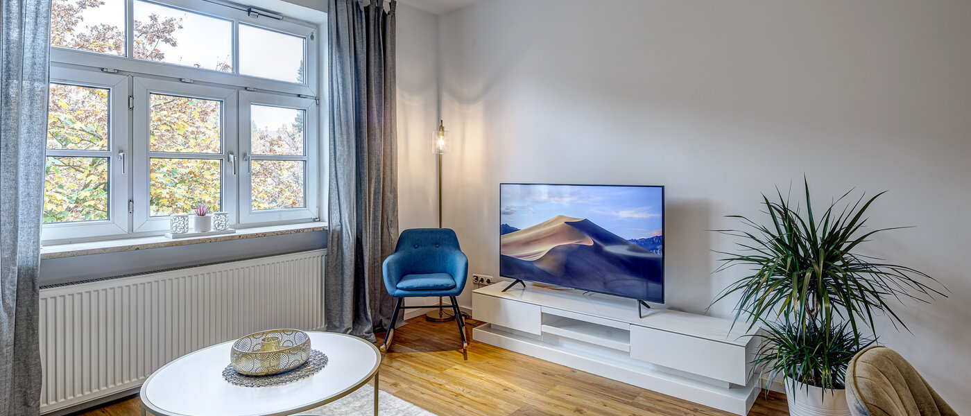 apartment München Thalkirchen 04 living room 13192