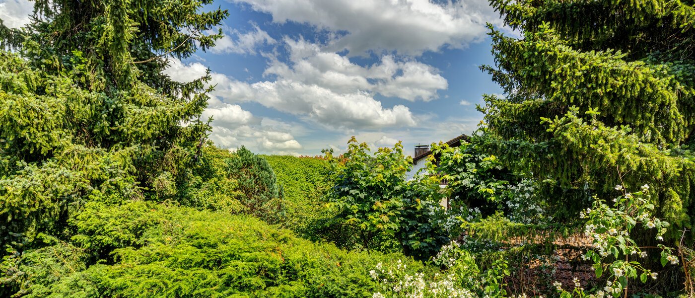 attic apartment Inning am Ammersee 03 view 13224