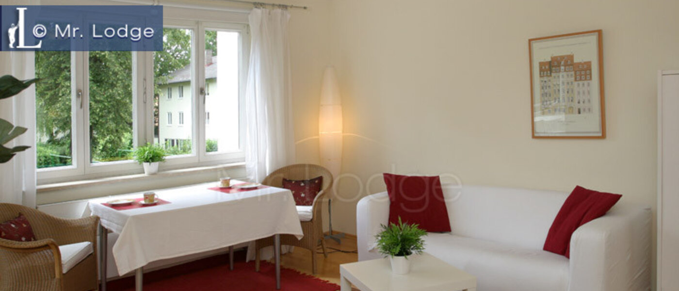 apartment München Giesing 01 living room 1323